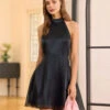 The Black Organza Halter A-Line Mini Dress